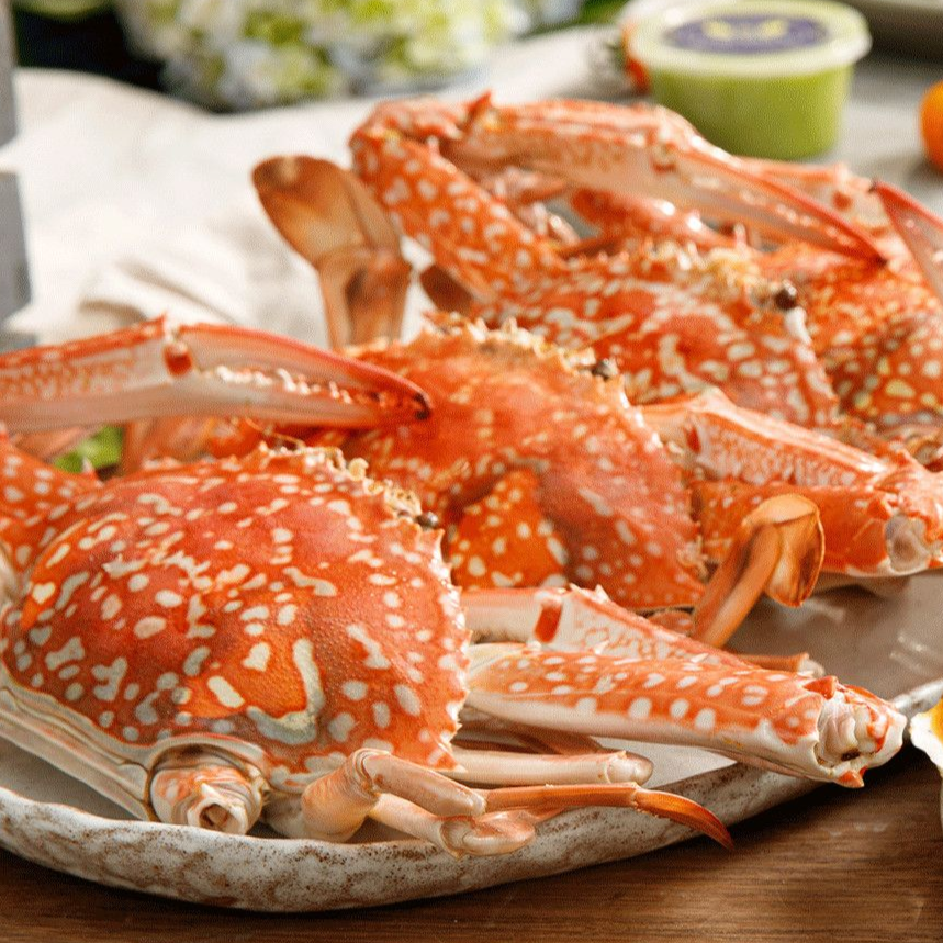 C21f599eA2H2C06 8dAbH895206aF42 Ghẹ Hấp