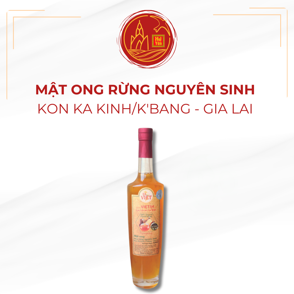 Vì Sao Nên Mua Mật Ong Rừng Nguyên Sinh Kon Ka Kinh/K’Bang?