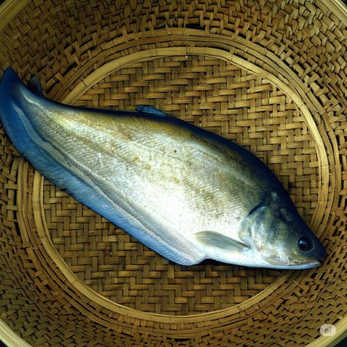 Thịt cá