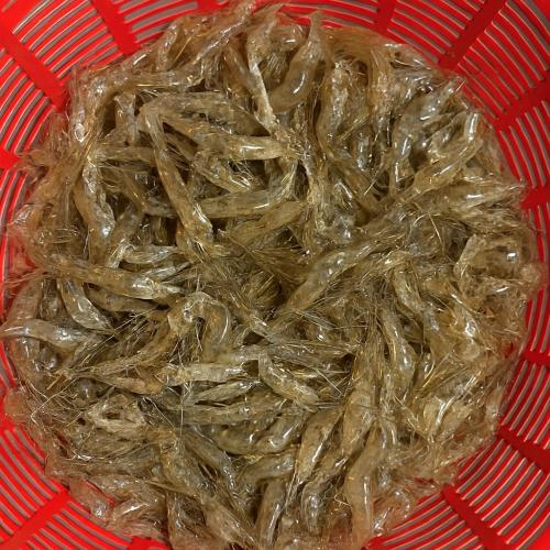 Đặc điểm của tép khô