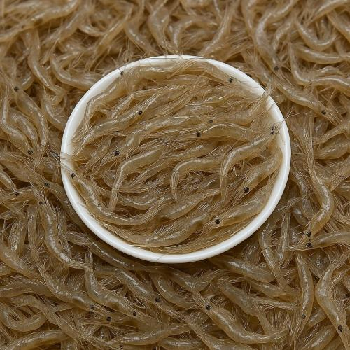 Chọn thương hiệu uy tín