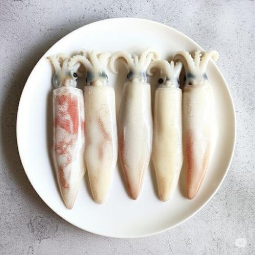 Mực ống