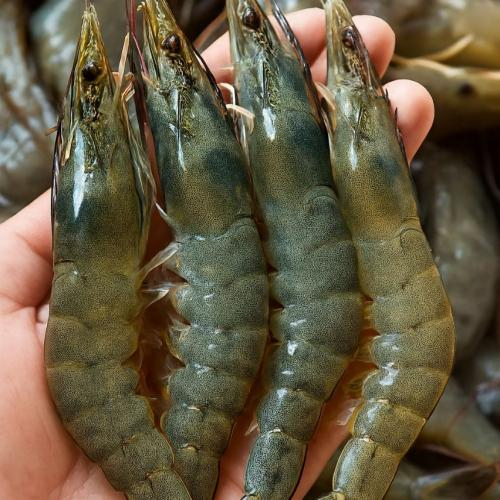 Ưu tiên chọn thực phẩm tươi, sạch