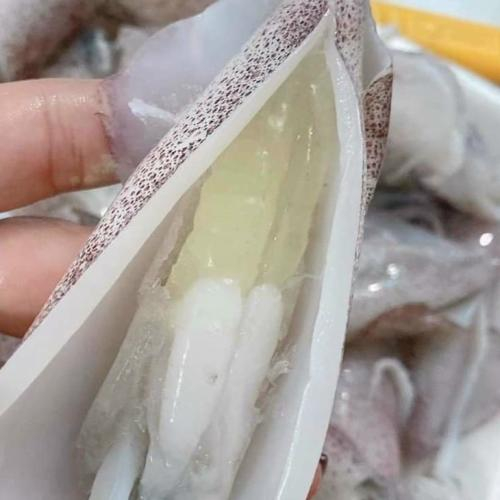 Mực trứng đông lạnh là gì?