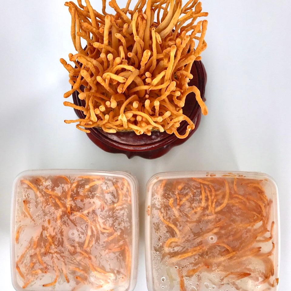 Người lớn tuổi