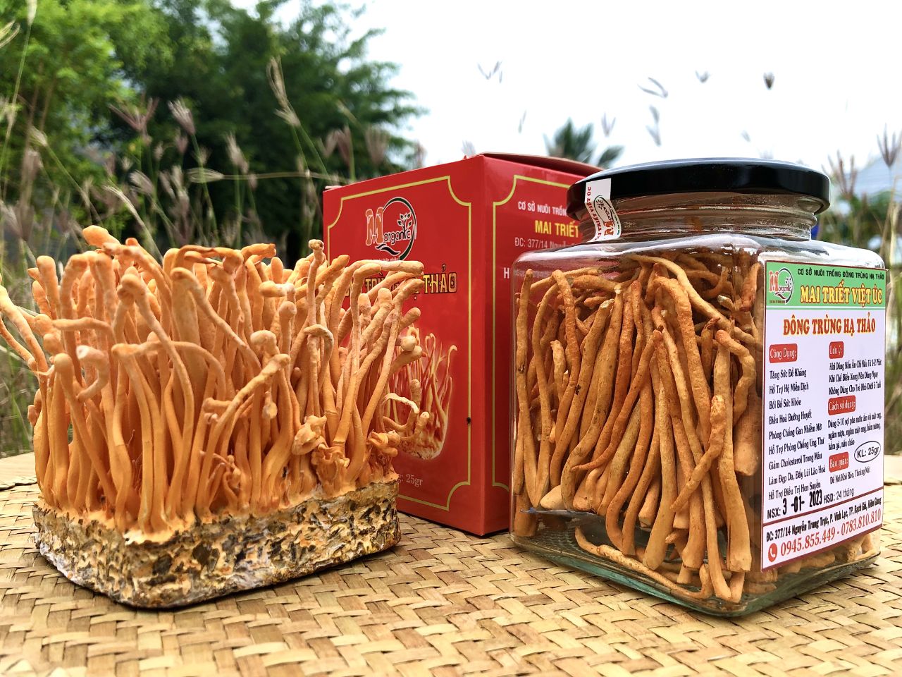 Có thể kết hợp đông trùng hạ thảo với thực phẩm nào?