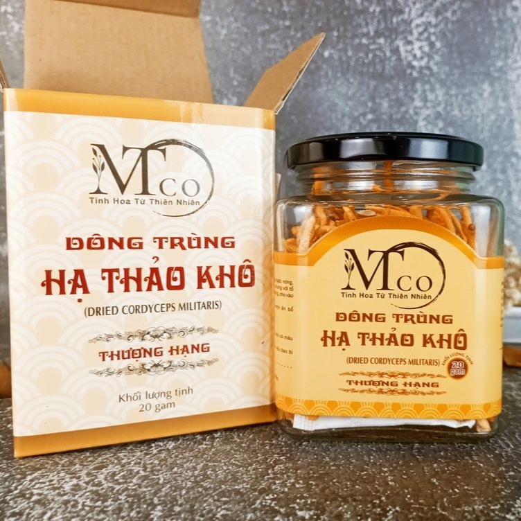 Cách xử lý đông trùng hạ thảo có dấu hiệu ẩm