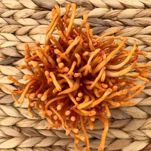 Cải thiện chức năng hô hấp