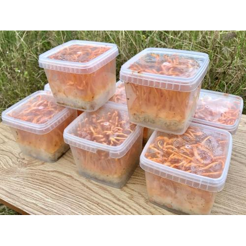 Thời Điểm Nào Uống Đông Trùng Hạ Thảo Tốt Nhất?