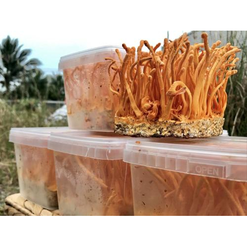 Bảo quản đúng cách