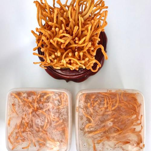 Người lớn tuổi