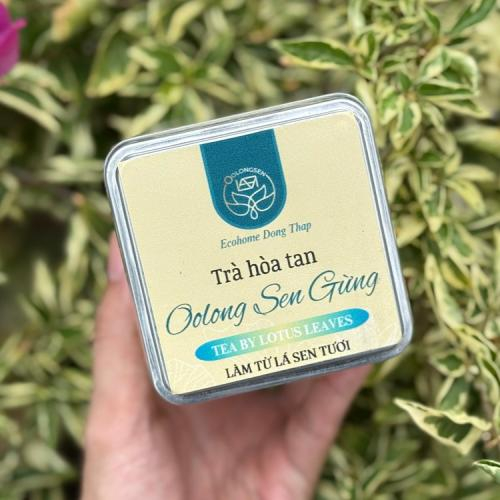 Trà Hòa Tan Oolong Sen Gừng Có Tác Dụng Gì?