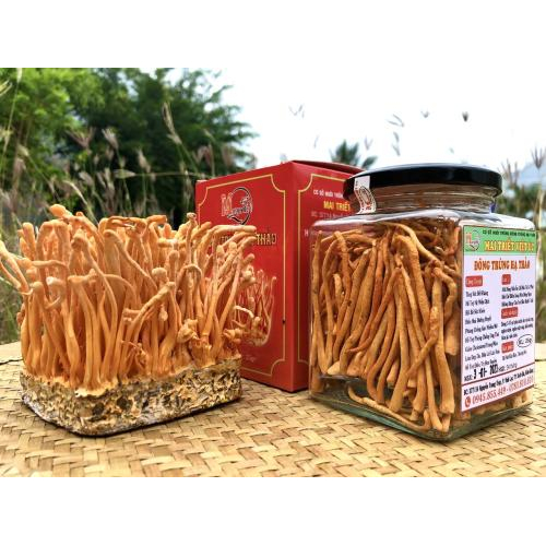 Có thể kết hợp đông trùng hạ thảo với thực phẩm nào?