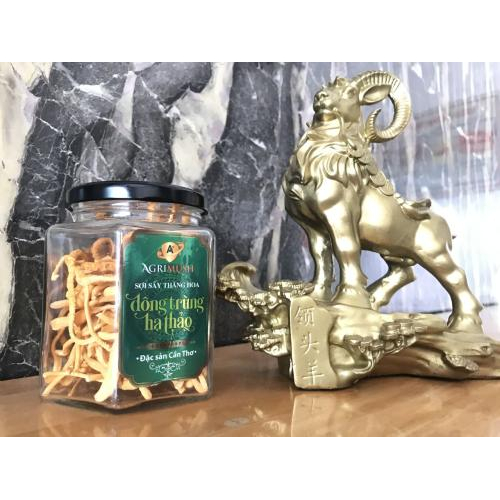 Hỗ trợ giảm cân