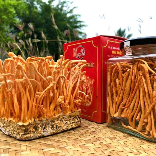 Công nghệ, quy trình nuôi cấy