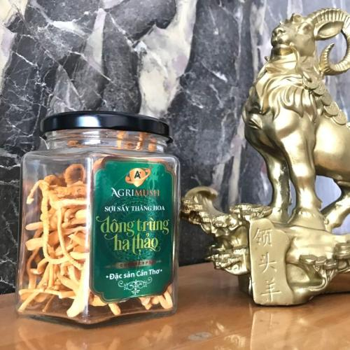 Những Ai Không Nên Uống Nước Đông Trùng Hạ Thảo?