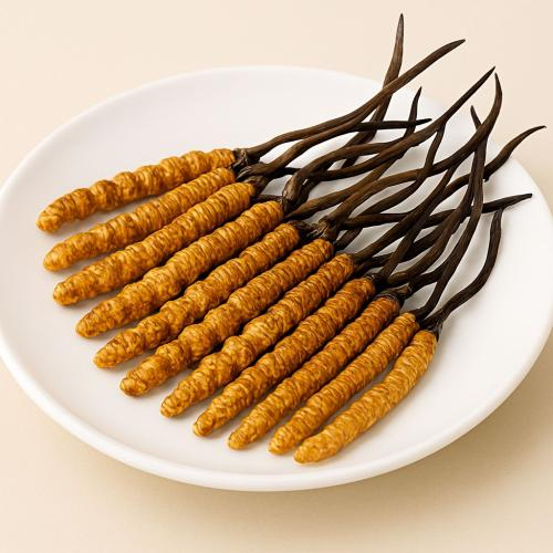 Tại sao có tên là đông trùng hạ thảo?