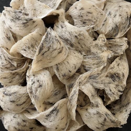 Yến Thô Có Làm Giả Được Không? Làm Sao Phân Biệt Yến Thô Giả?