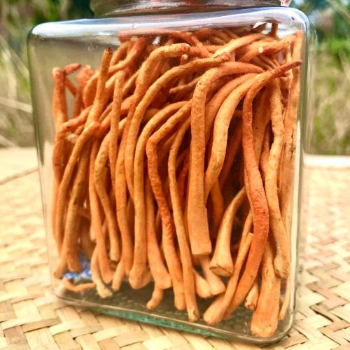Củng cố hệ miễn dịch