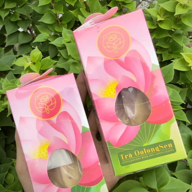 Có nên uống trà oolong sen hồng diệp liên mỗi ngày?
