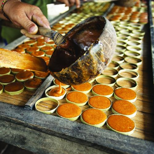 Làm Thế Nào Để Phân Biệt Đường Thốt Nốt Trần Gia Thật Giả?