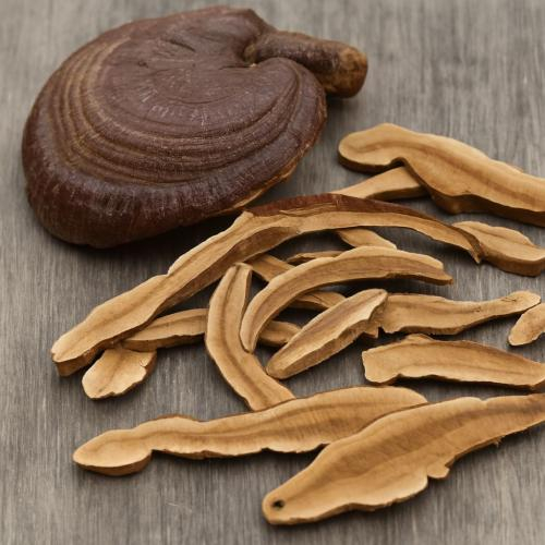 Lưu ý khi sử dụng nấm linh chi  