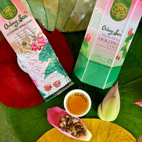 Hỗ trợ tiêu hóa