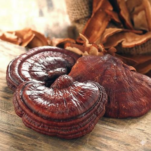 Người huyết áp thấp