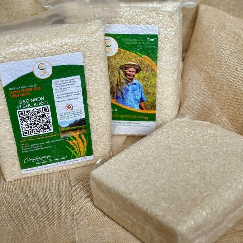 Gạo Nàng Thơm Vĩnh Quới do ai sản xuất?