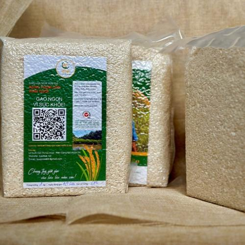 Cung cấp vitamin và khoáng chất