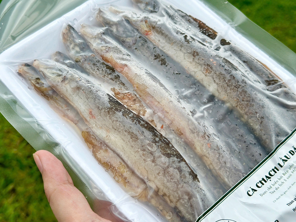 Điểm Danh Người Không Nên Ăn Lươn, Chạch - Bạn Cần Biết