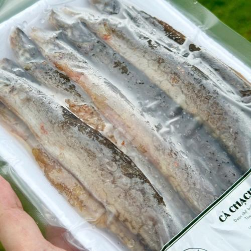 Điểm Danh Người Không Nên Ăn Lươn, Chạch - Bạn Cần Biết