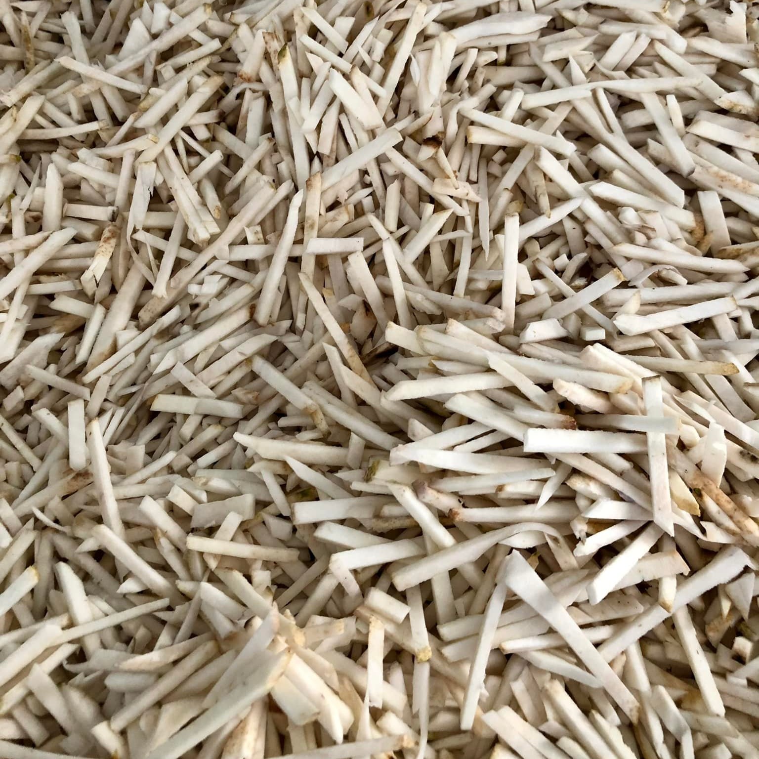 Sơ chế sạch sẽ