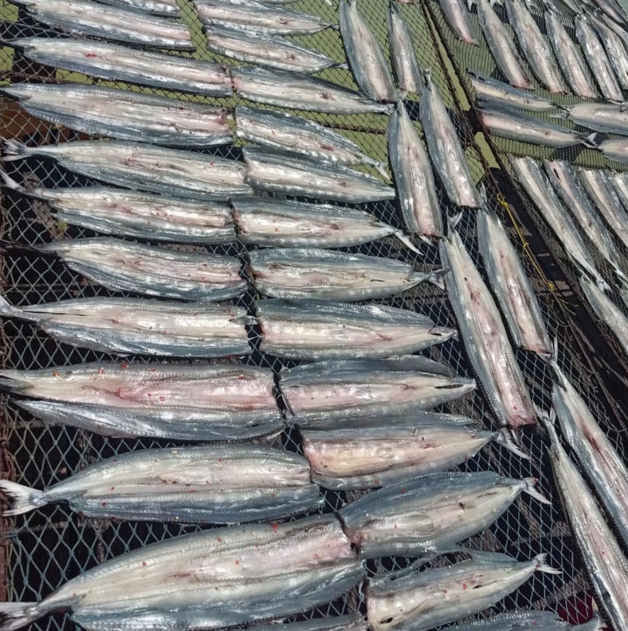 Người có vấn đề về sức khỏe