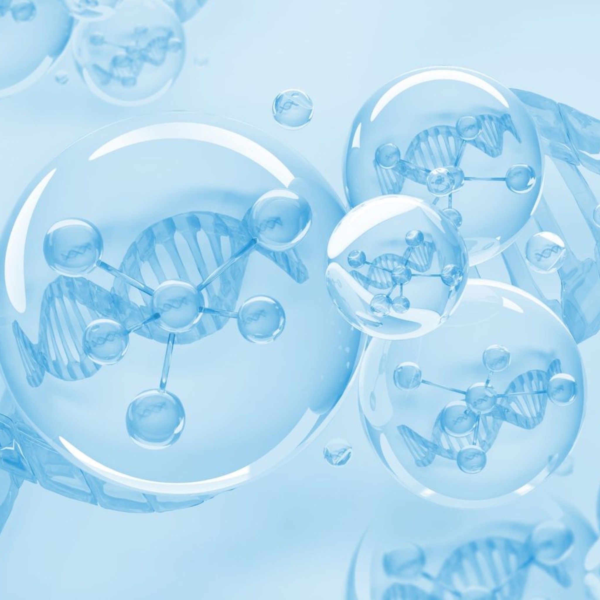 Thế nào là collagen tươi?