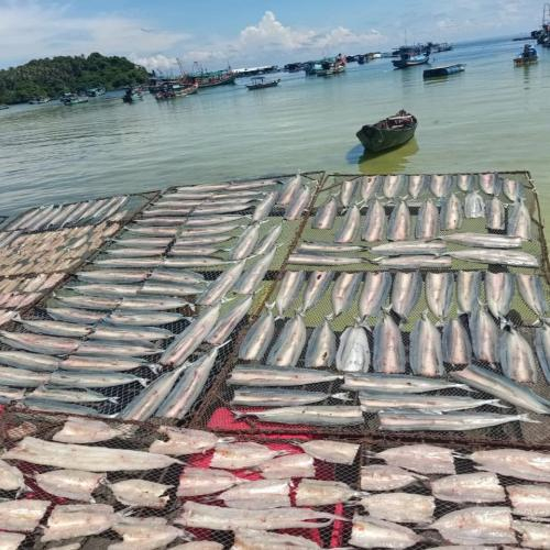 Sự Khác Biệt Giữa Cá Xanh Xương Một Nắng Và Cá Khô Thông Thường