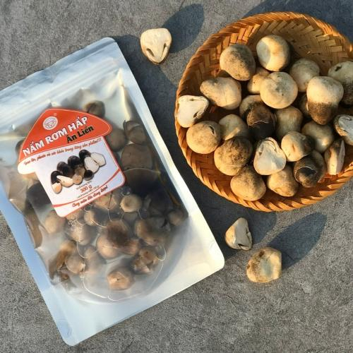 Nấm tươi