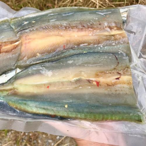 Mua Khô Cá Xanh Xương Ở Đâu? Địa Chỉ Uy Tín, Giá Tốt Nhất