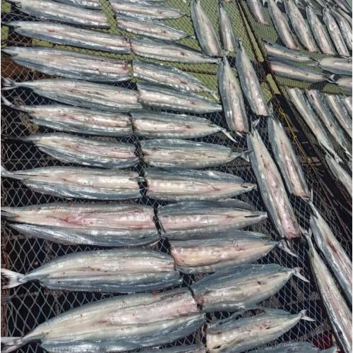 Khô cá xương xanh rim tỏi ớt