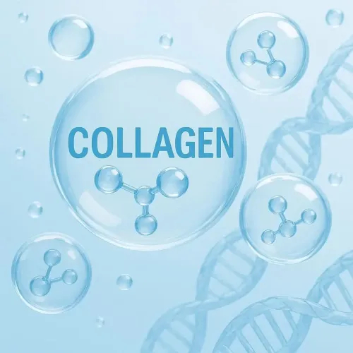 Thế nào là collagen?