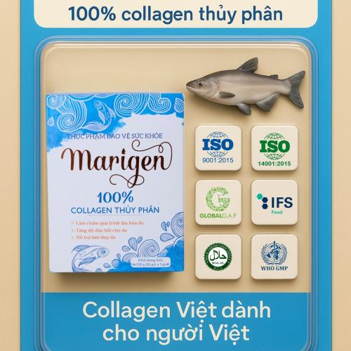 Marigen 100% collagen thủy phân