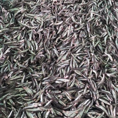 Chứa protein ổn định và chất lượng