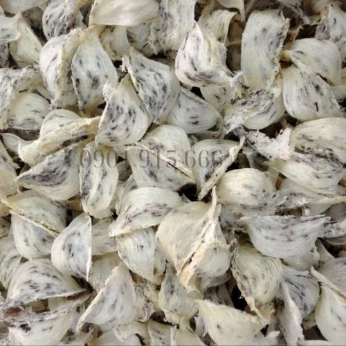 Giá Trị Dinh Dưỡng Trong Yến Thô – Nguyên Chất, Chưa qua Xử Lý