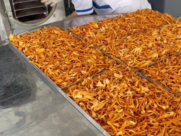 Thành phần & xuất xứ: