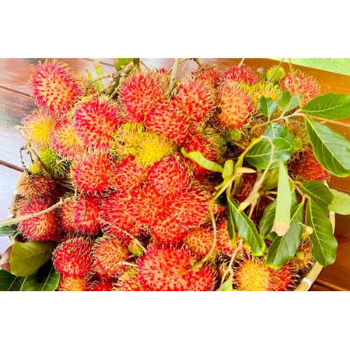 Thông tin chi tiết