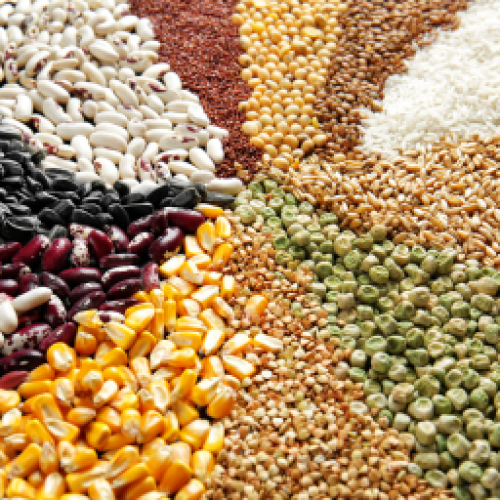 Ngũ cốc - hạt