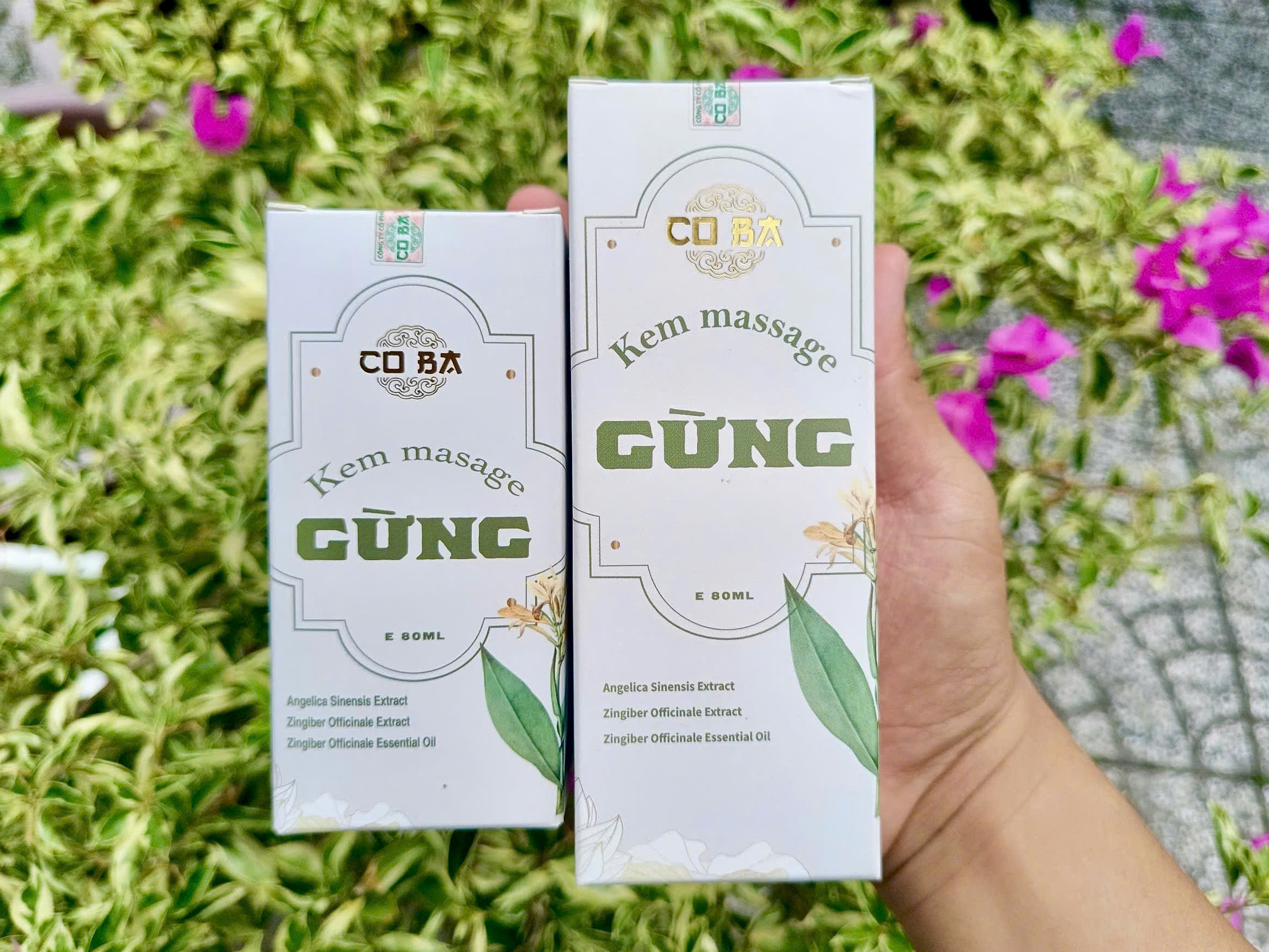 Lợi ích cho sức khỏe của Kem Massage Gừng