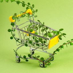 Sản phẩm xúc tiến