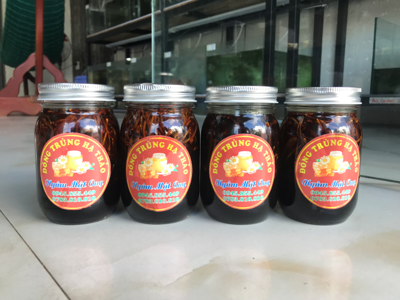 Giới thiệu mật ong đông trùng hạ thảo