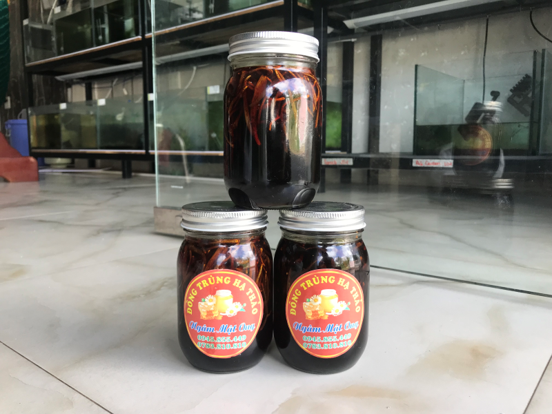 Cách bảo quản mật ong đông trùng hạ thảo